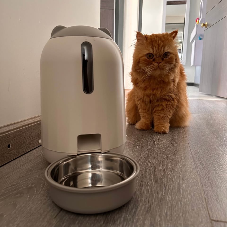 Dispensador de Comida para mascotas WI-FI PAPIFEED CF-G