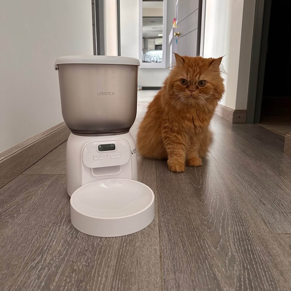 Dispensador de Comida para mascotas LAMPICK DU-F07K